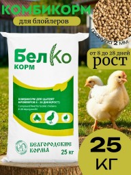ПТИЦА И КОРМА 2
