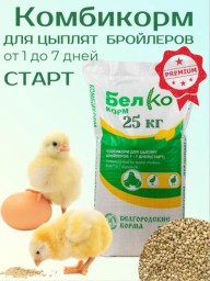 ПТИЦА И КОРМА 1