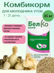 ПТИЦА И КОРМА 3