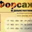 ТАКСИ ФОРСАЖ