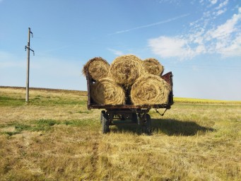 Сено в рулонах 1